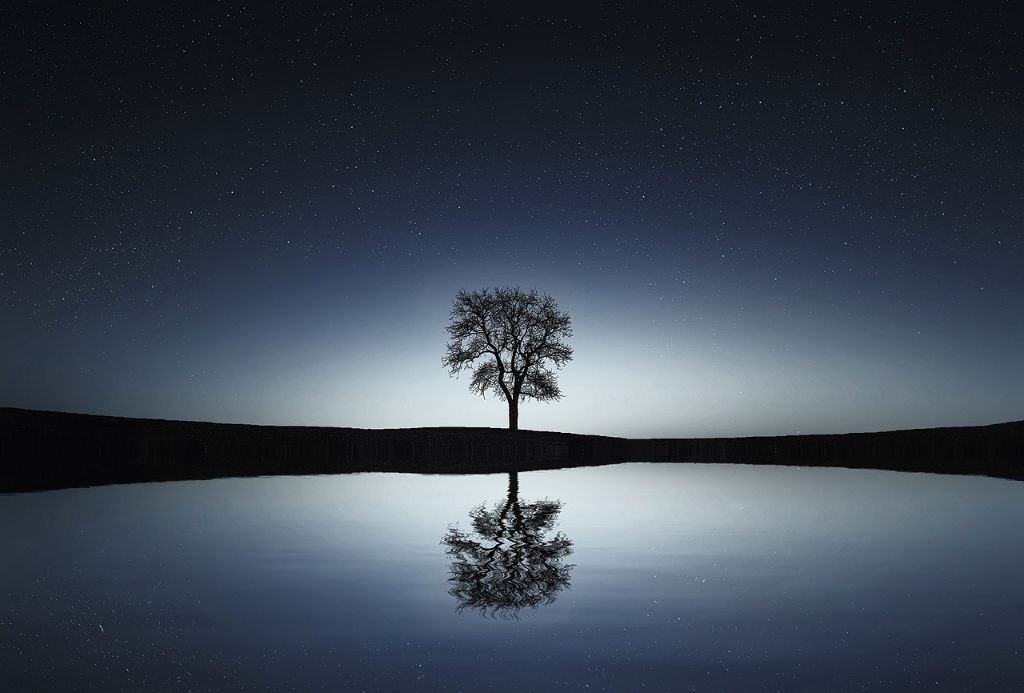 Tree reflection
